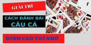 Hướng Dẫn Cách Chơi Bài Câu Cá Từ Các Cao Thủ